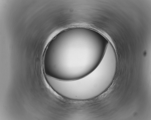 X0000091941389200709051253