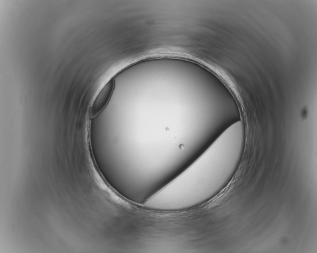 X0000091941390200709051253