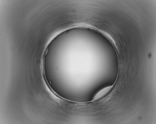 X0000091941391200709051253