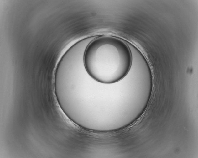 X0000091941392200709051253