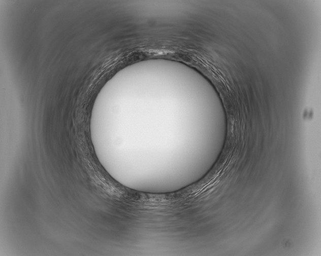 X0000091941393200709051252
