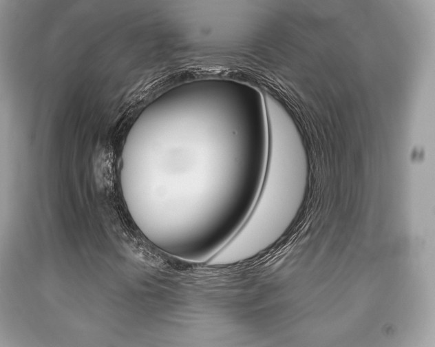 X0000091941394200709051252
