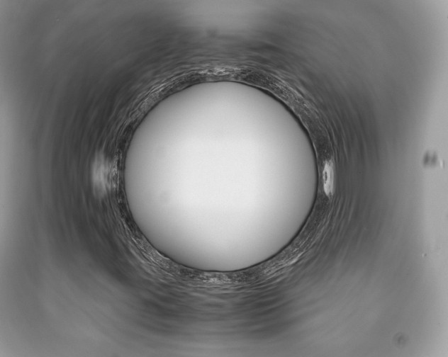X0000091941395200709051252
