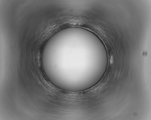 X0000091941396200709051252