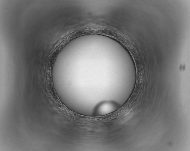 X0000091941397200709051252
