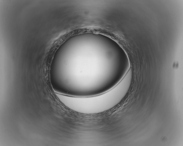X0000091941398200709051252