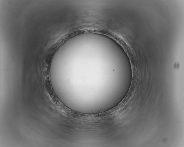 X0000091941399200709051252