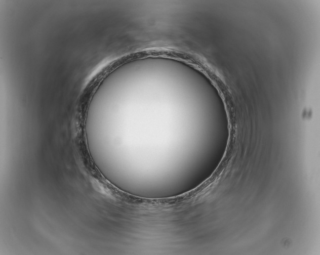 X0000091941400200709051252