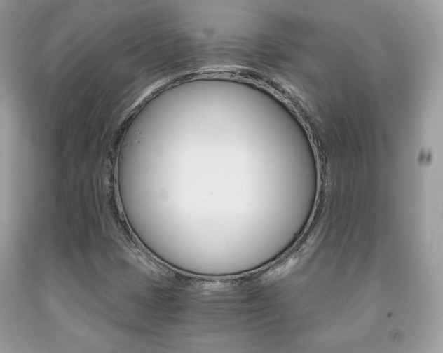 X0000091941401200709051252