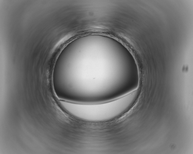 X0000091941402200709051252