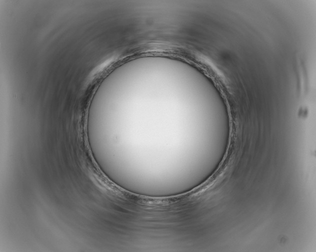 X0000091941403200709051252