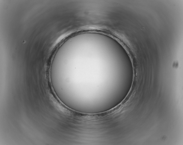X0000091941404200709051252