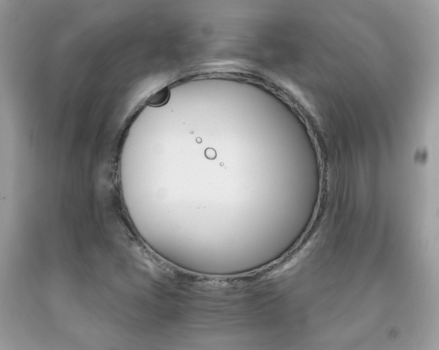 X0000091941405200709051252