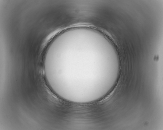 X0000091941406200709051252