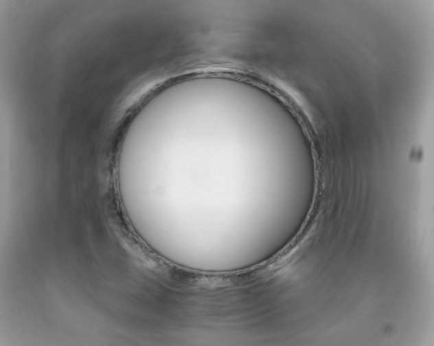 X0000091941407200709051252