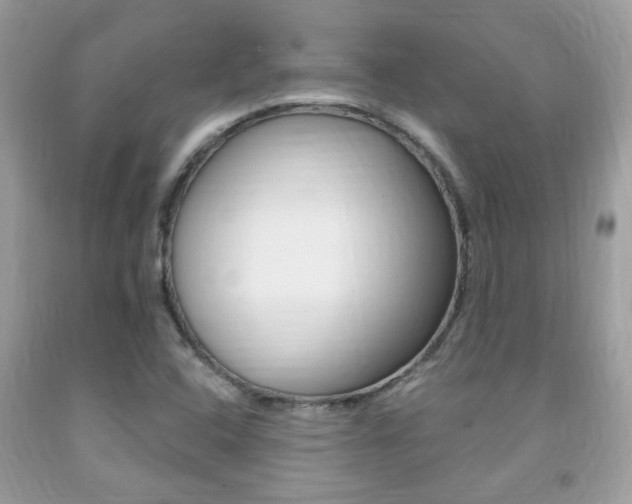 X0000091941408200709051252