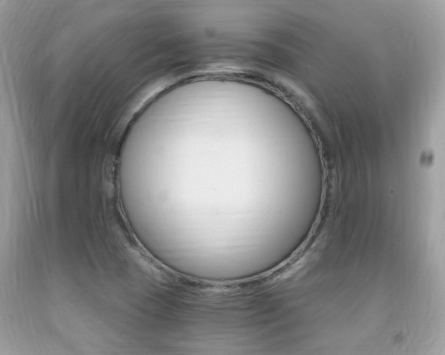 X0000091941409200709051252