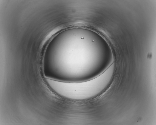 X0000091941410200709051252