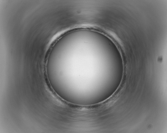 X0000091941412200709051252