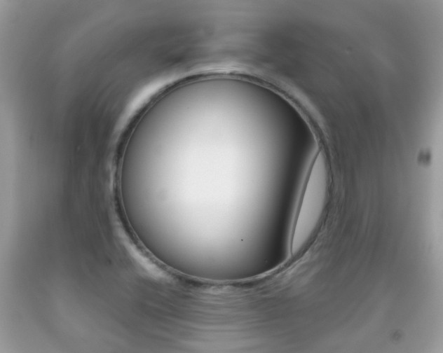 X0000091941416200709051252