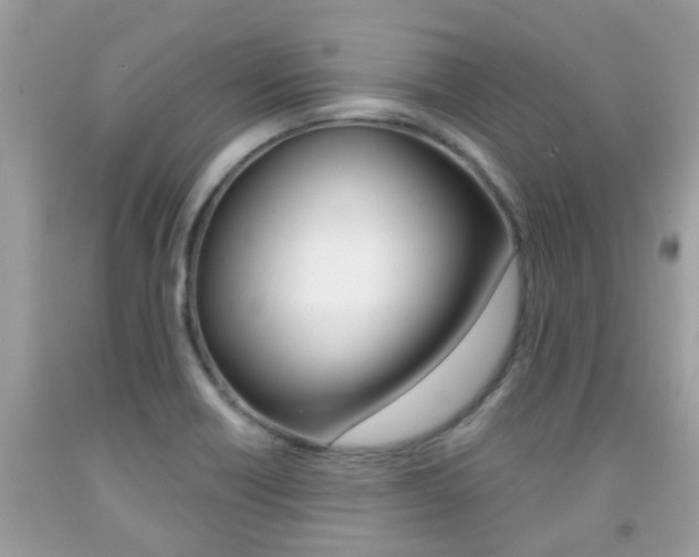 X0000091941418200709051252