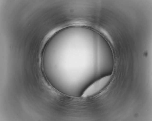 X0000091941419200709051252