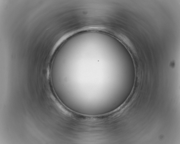 X0000091941420200709051252