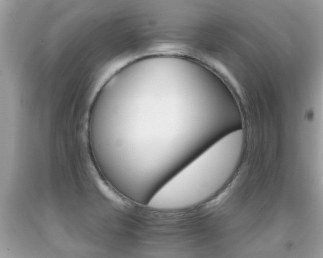 X0000091941421200709051252