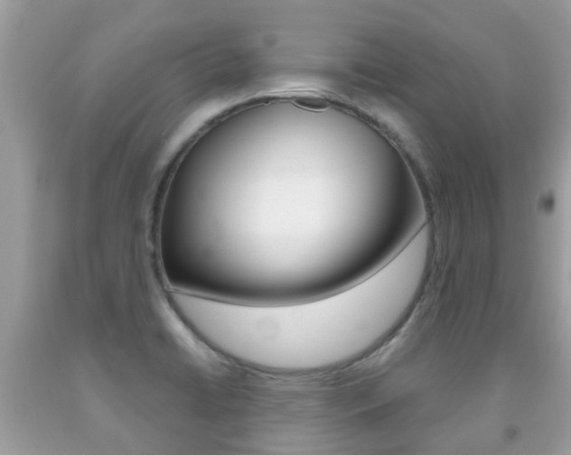 X0000091941422200709051252