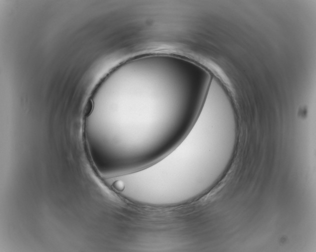 X0000091941424200709051253