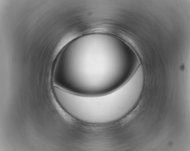 X0000091941426200709051253