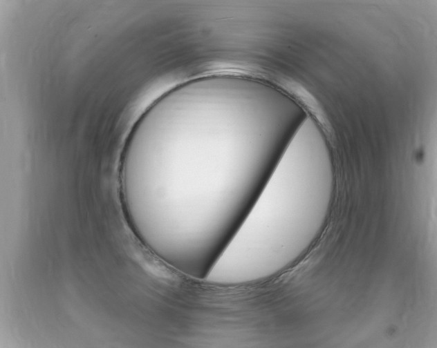X0000091941427200709051253