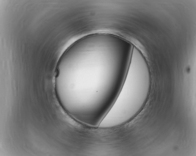 X0000091941428200709051253
