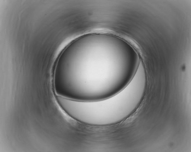 X0000091941430200709051253