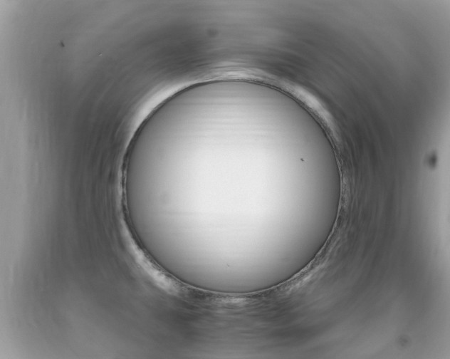 X0000091941431200709051253