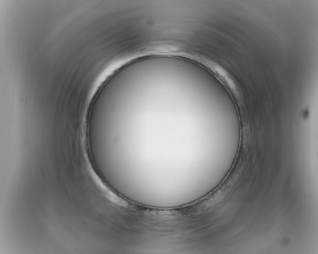 X0000091941432200709051253