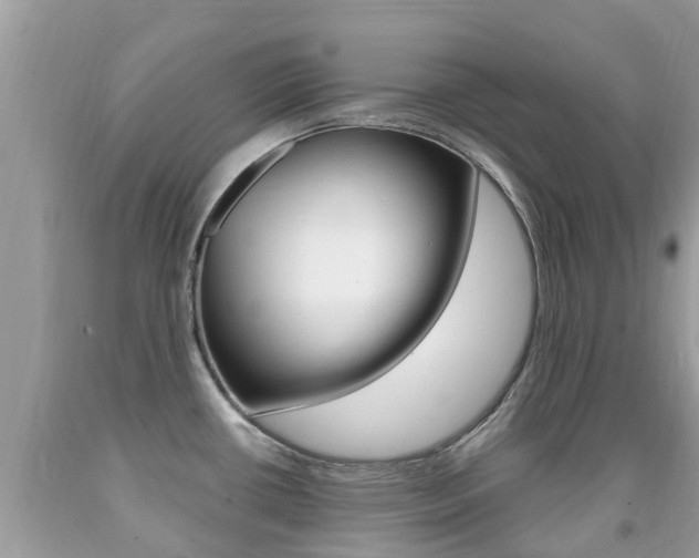 X0000091941434200709051253