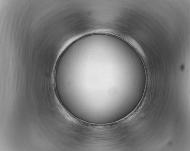 X0000091941436200709051253