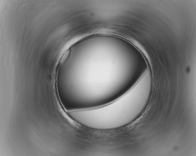 X0000091941437200709051253