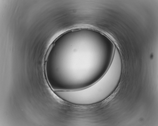 X0000091941438200709051253