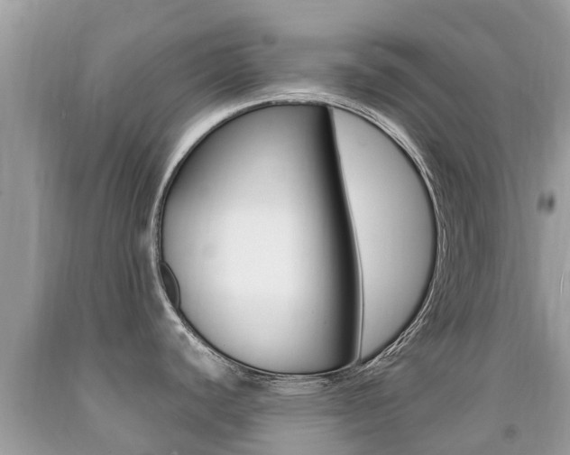 X0000091941440200709051253