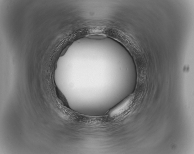 X0000091941441200709051252