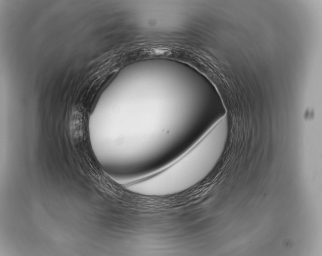 X0000091941442200709051252