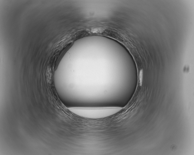 X0000091941443200709051252
