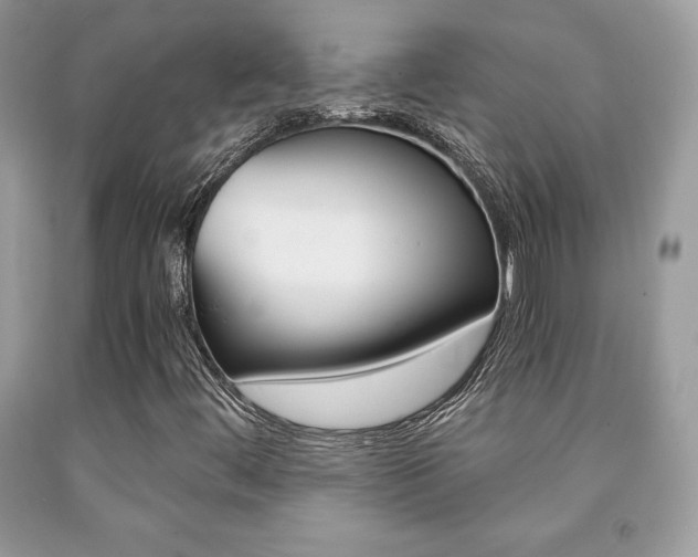 X0000091941444200709051252