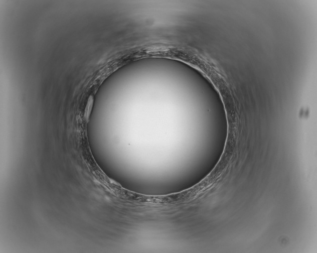 X0000091941445200709051252