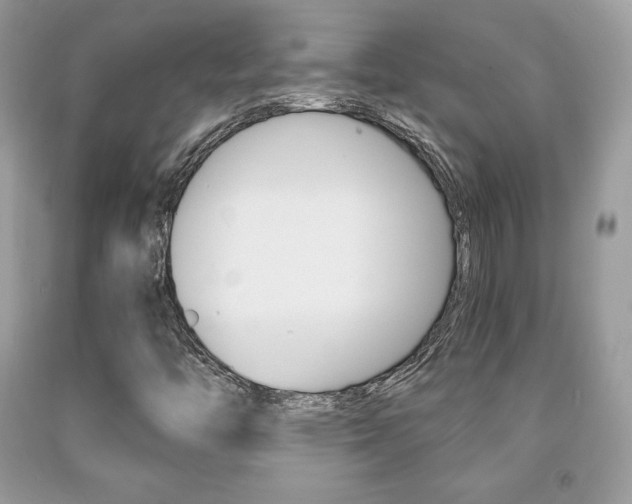 X0000091941446200709051252