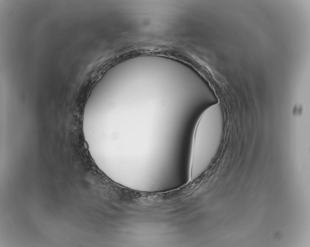 X0000091941447200709051252