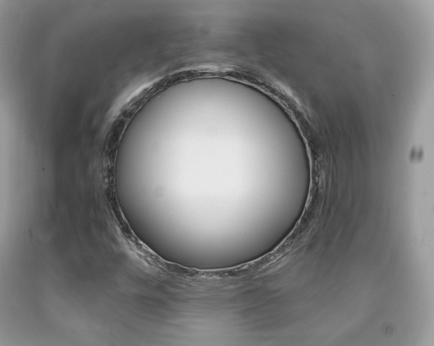 X0000091941448200709051252