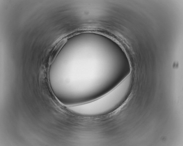 X0000091941449200709051252